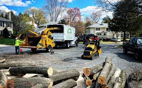  Memphis, TN Tree Removal Services Pros